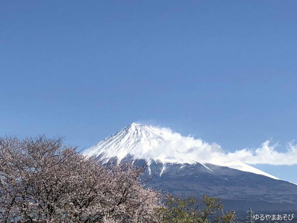 富士山と桜_富士-富士宮ウォーキングコース