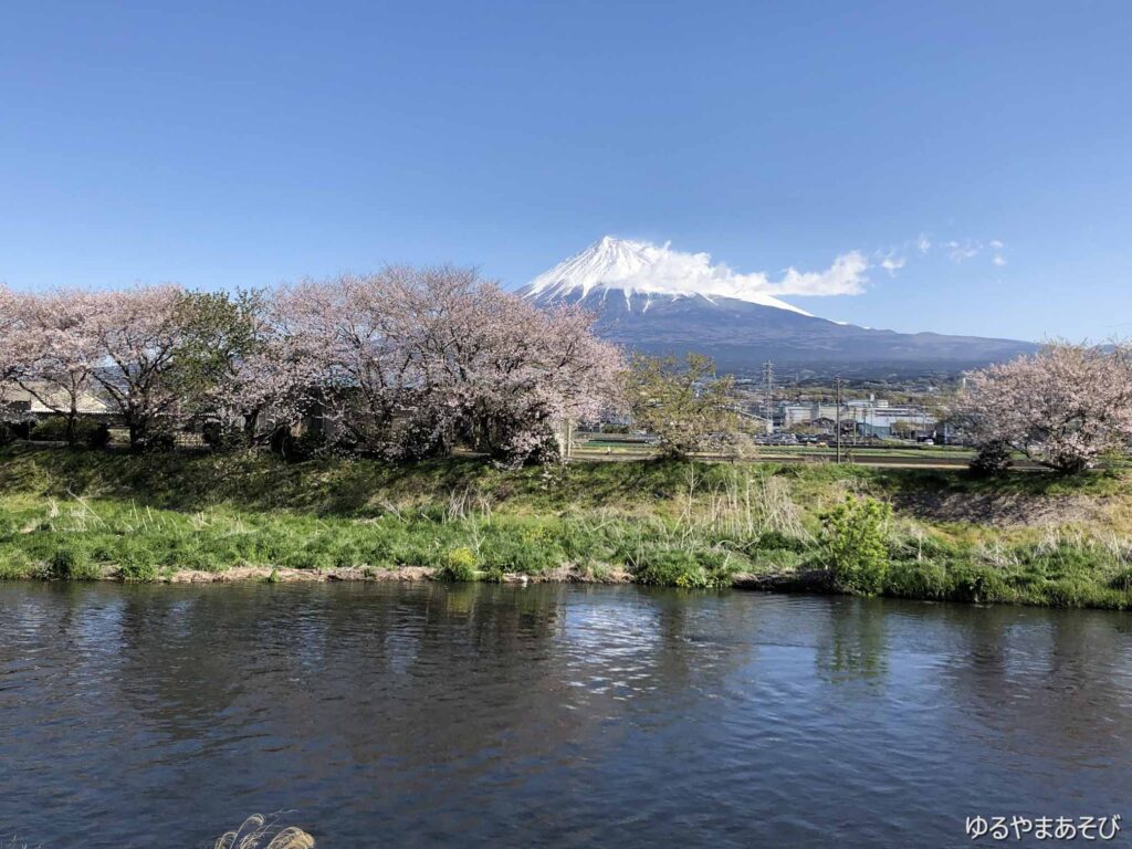 富士山と桜_富士市潤井川