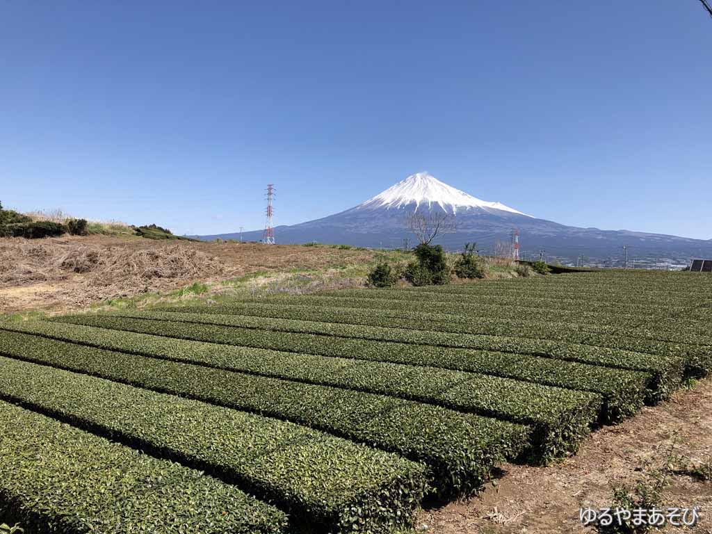 岩本山からの富士山と茶畑