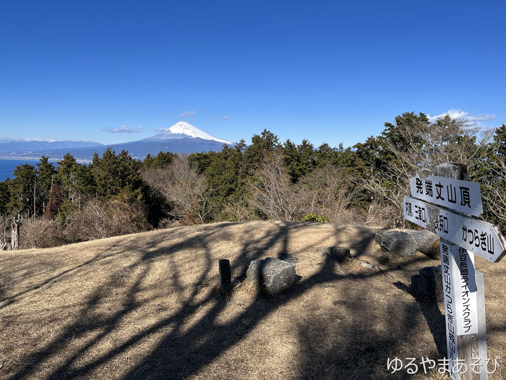 発端丈山山頂からの富士山