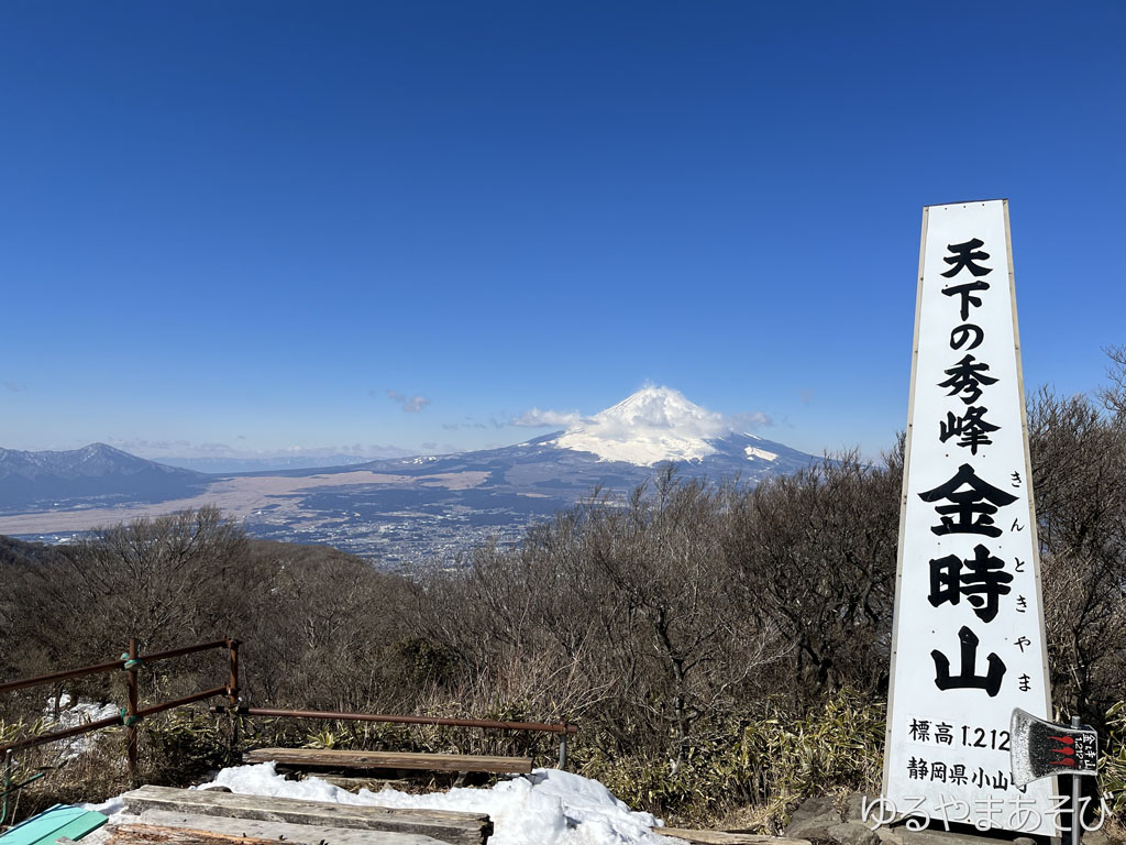 金時山頂からの富士山