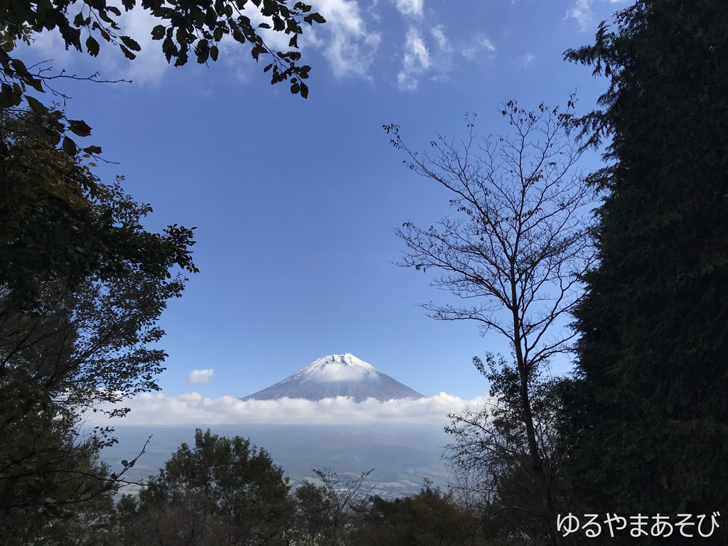 長者ヶ岳山頂付近からの富士山