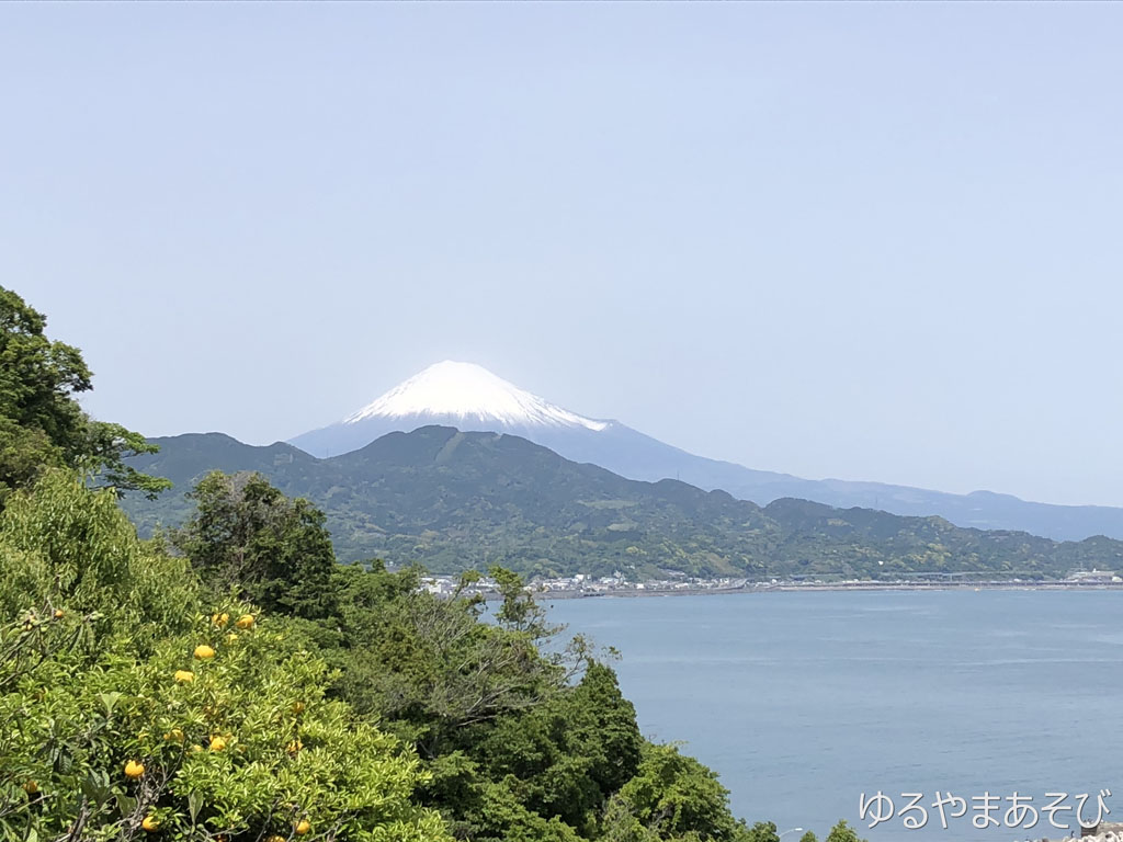 薩埵峠からのみかんと富士山