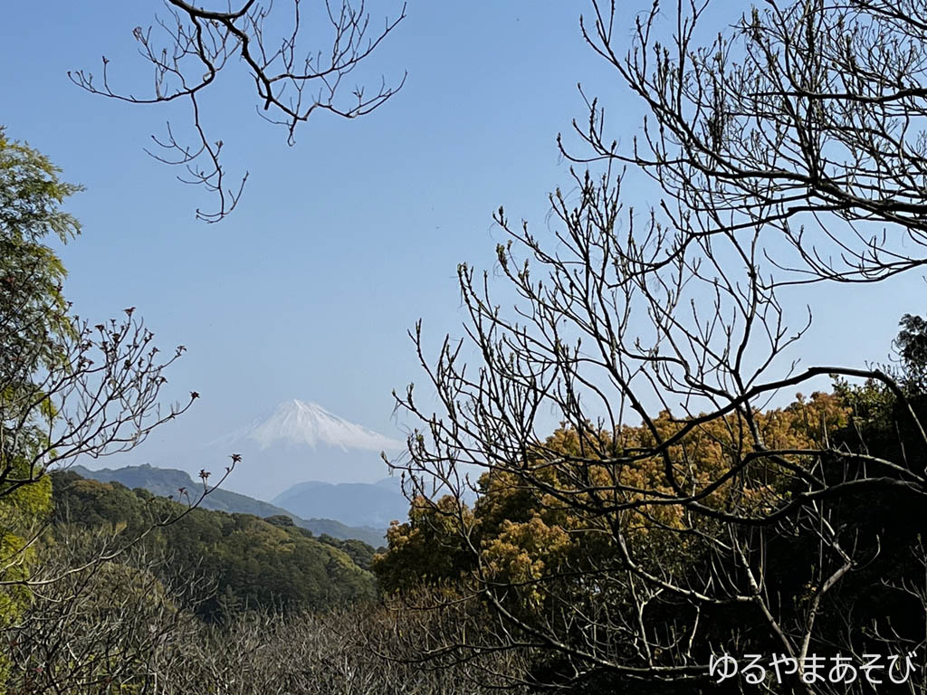 谷津山頂手前から東に富士山が望めます