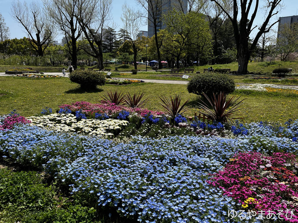 駿府城公園内の花々