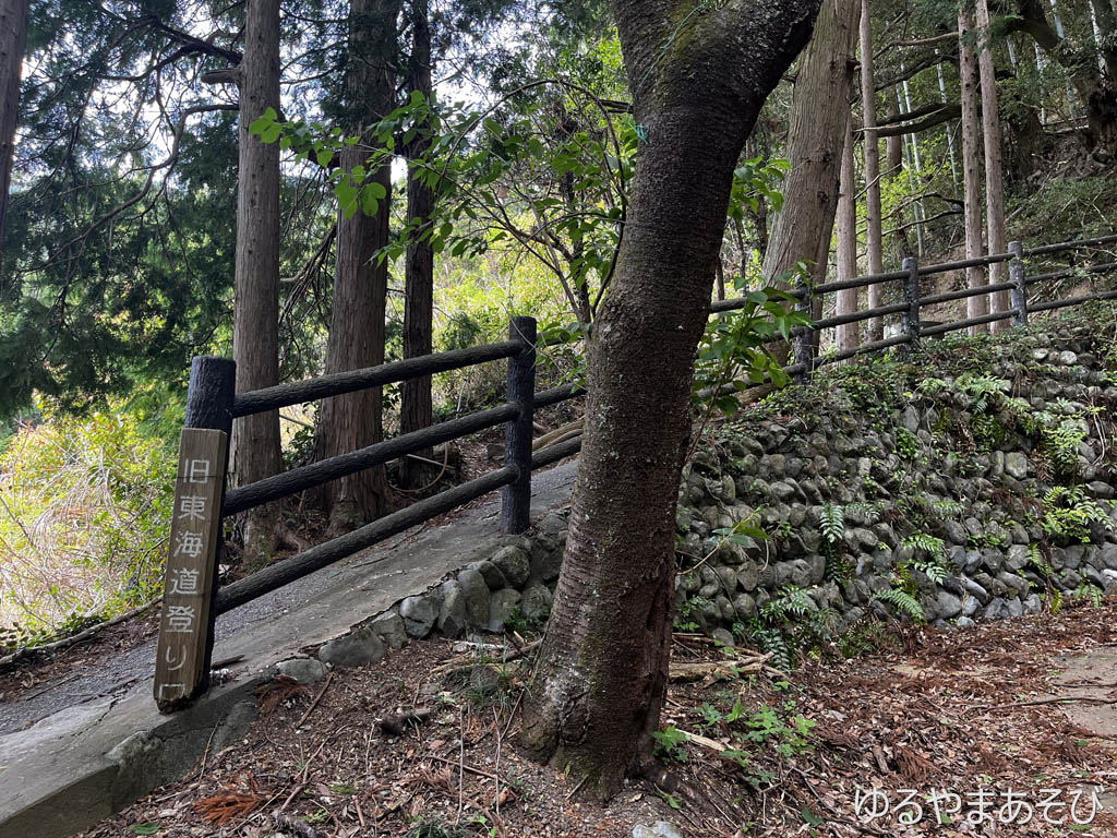 舗装された山道から「旧東海道登り口」に入ります。