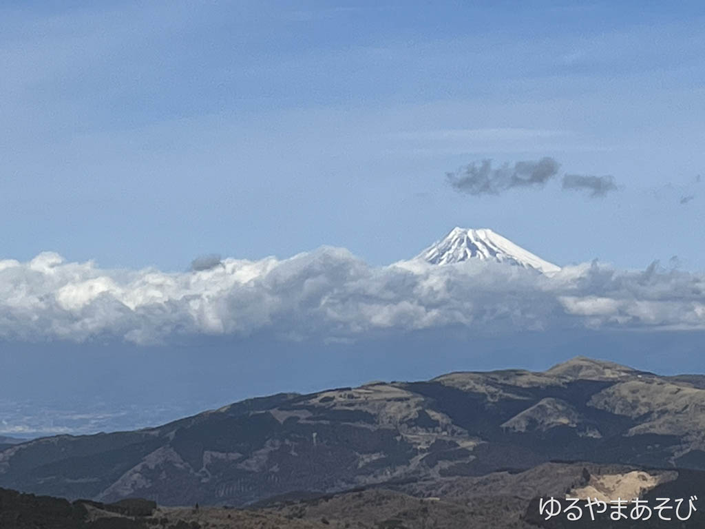 猫越岳山頂付近の展望台からの富士山