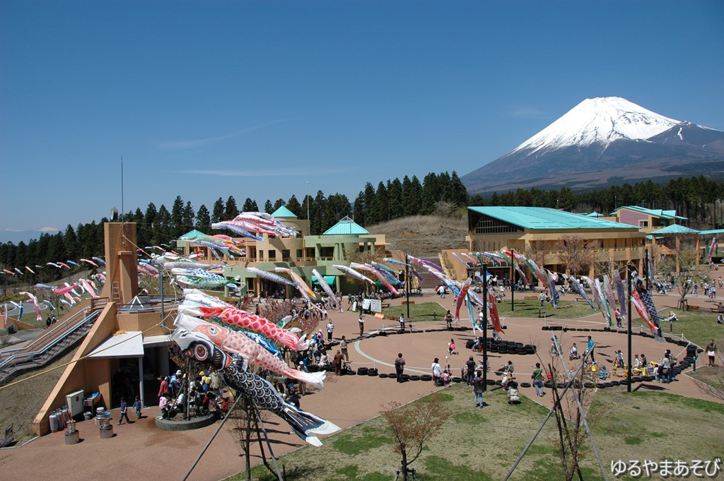 富士山こどもの国からの富士山と鯉のぼり