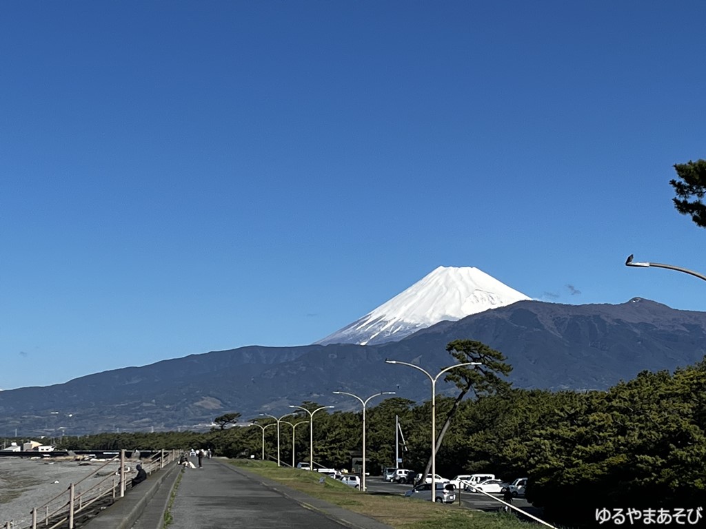 千本浜公園から望める富士山