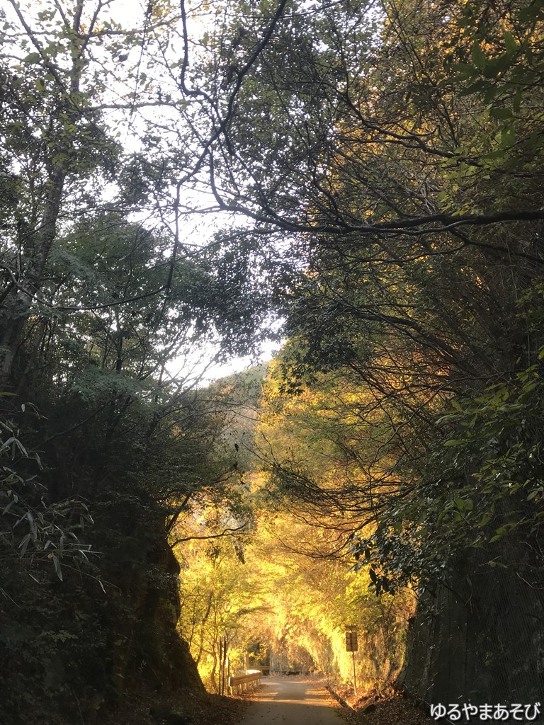 須津川渓谷の夕日のトンネル