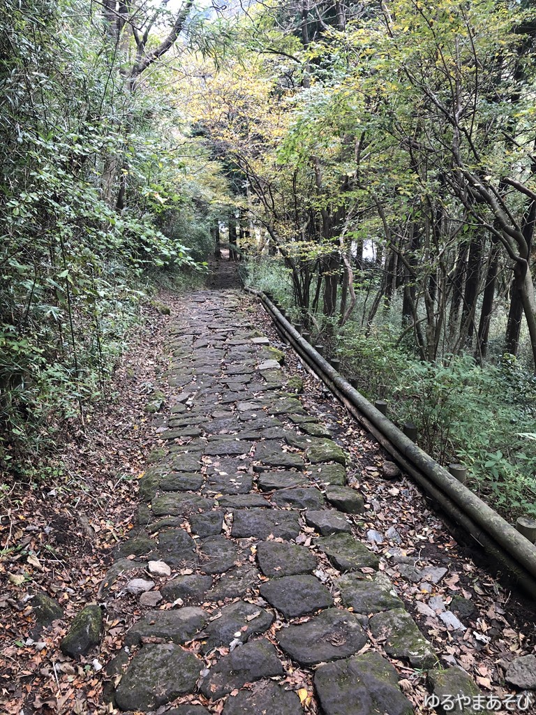 箱根旧街道の石畳